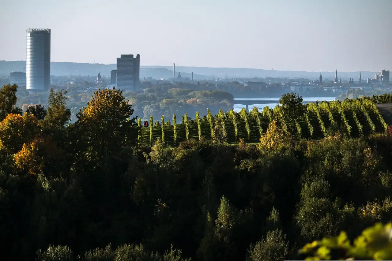 Bonn